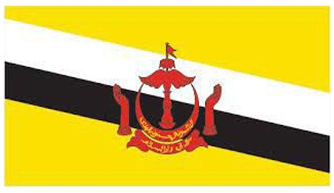 Chuyển phát nhanh đi Brunei