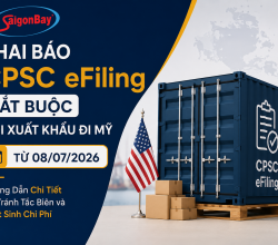 QUY ĐỊNH CPSC EFILING ĐÃ CHÍNH THỨC CÓ HIỆU LỰC 